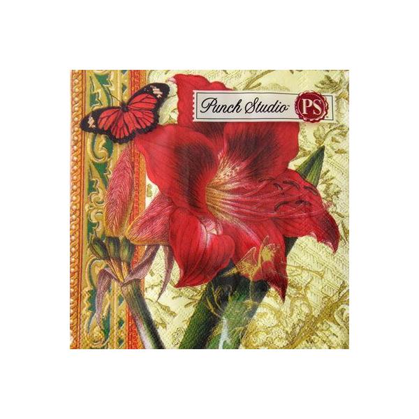 [Punch Studio]y[p[ivL[[OK]JNeTCYbh@A}X@2p`X^WIE2010NX}X