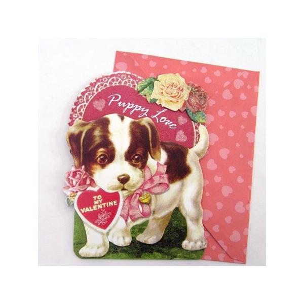 [Punch Studio]o^CJ[hq53258-VM13p`X^WĨbZ[WJ[h