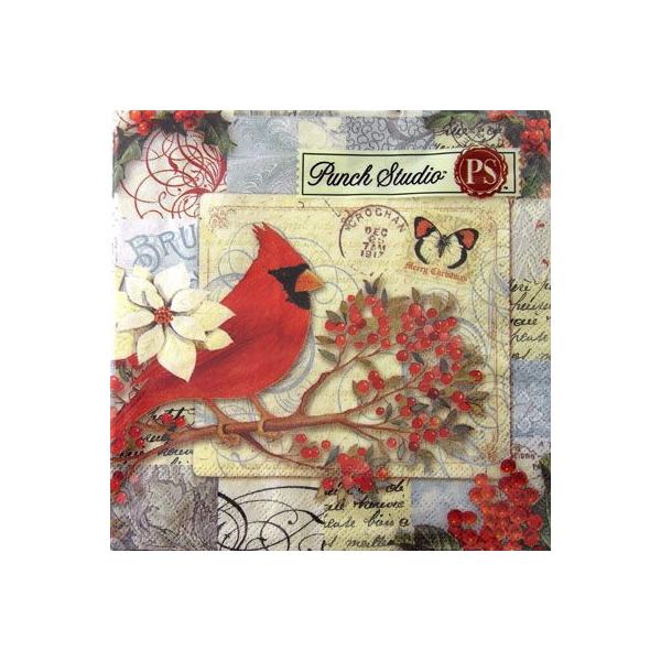 [Punch Studio]y[p[ivL[[OK]JNeTCYCardinal Postcard@2p`X^WIE2010NX}X