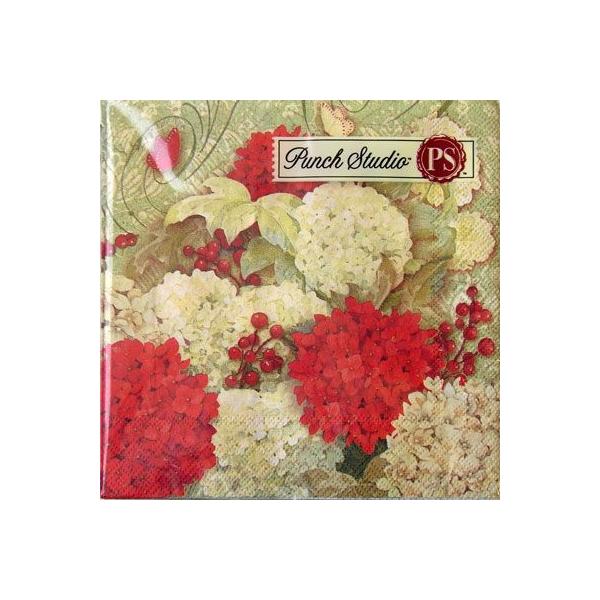 [Punch Studio]4y[p[ivL[[OK]JNeTCYx[Y&amp;u[XNX}X