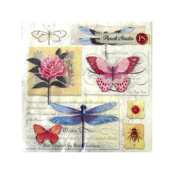 [Punch Studio]p`X^WI@y[p[ivL[[OK]@hStC`TCY2蒹@Ƃ@g@o[h