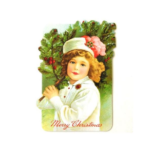 [Punch Studio]NX}X@X[J[h@t̏p`X^WIbZ[WEMtgJ[h