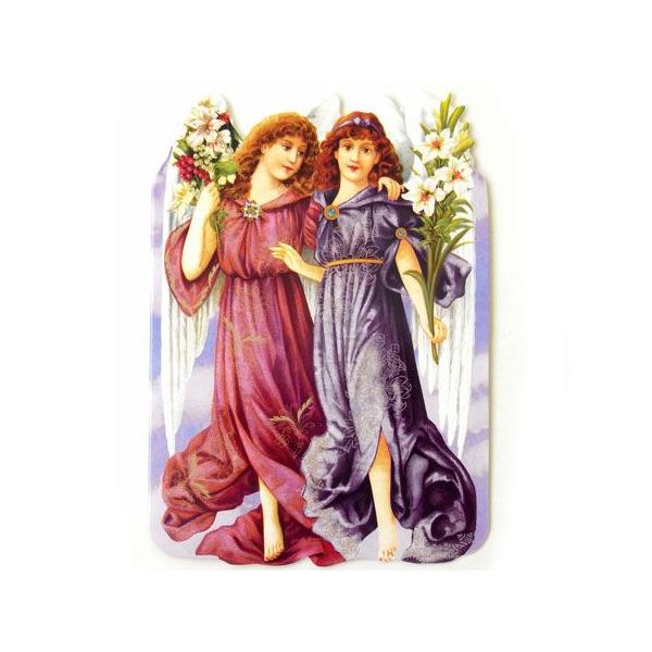 [Punch Studio]NX}X@X[J[h@GWFfGbgp`X^WIbZ[WEMtgEGWFEVg