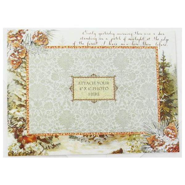 [Punch Studio]tHgt[kJ[h@tHXg@fBAS[hEp`X^WI@NX}XJ[hEO[eBOJ[hEtHg