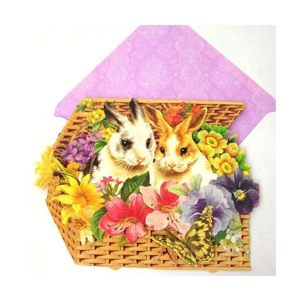 [Punch Studio]C[X^[O[eBOJ[h2C̃JS@LTCYC[X^[