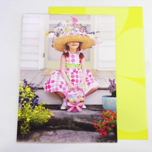 C[X^[J[hL@̎q@ԖXq[AVANTI]bZ[WEMtgJ[hEO[eBO