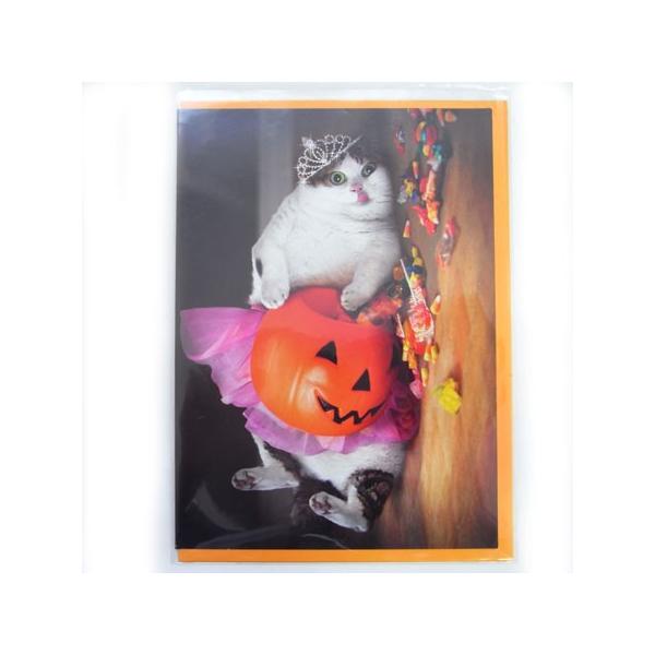 701526@nEBJ[h@܂ݐHP[AVANTI]lRELEHEHALLOWEENbZ[WEMtgJ[hEO[eBO