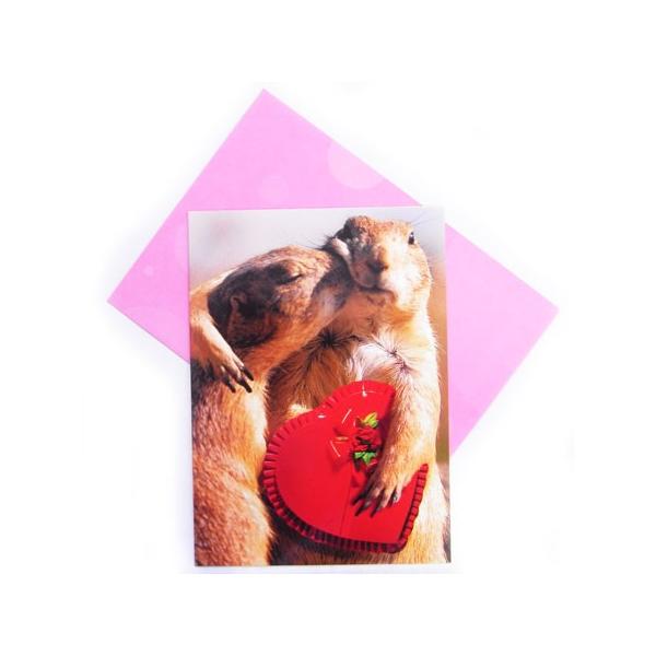 700836o^CJ[h@vC[hbO@[AVANTI]bZ[WEMtgJ[hEO[eBOEn[g