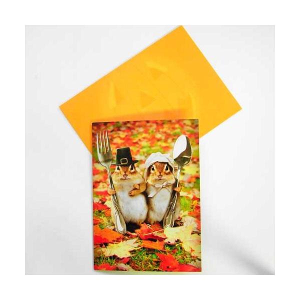 nEB[J[hL@Xv[AVANTI]肷bZ[WEMtgJ[hEO[eBO