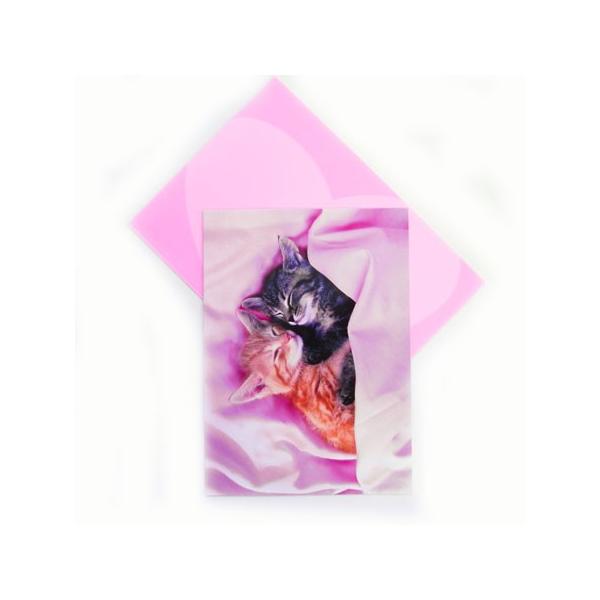 o^CJ[h@qL̃V[g@lR[AVANTI]bZ[WEMtgJ[hEO[eBOEL