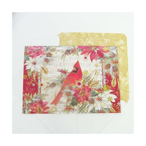 [Punch Studio]NX}XJ[h@CARDINAL@p`X^WI@NX}XE|CZ`A