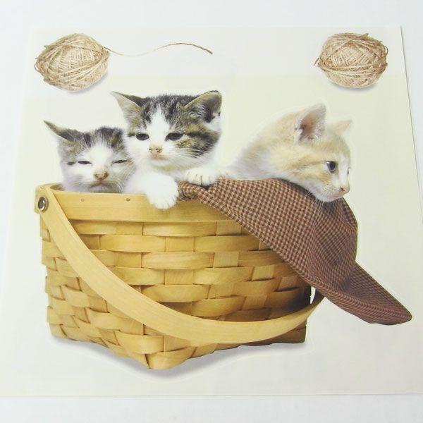 C[W[fR[XebJ[@@oXPbgLbg[gD[VF]LElRECAT