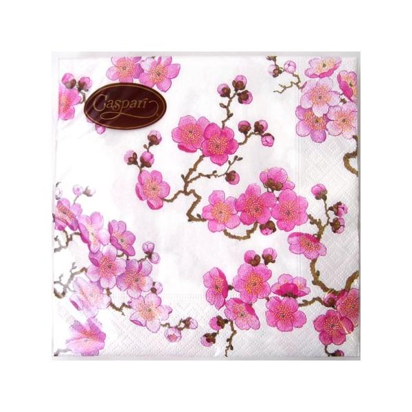 y[p[ivL[[OK]@~@zCgp[ 5胉`TCYCaspariJXp