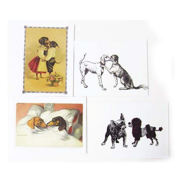 J[hZbg8Zbg@DOG KISS!@[barkology]EʁEhbOEDOGbZ[WEbsOޗO[eBOJ[h