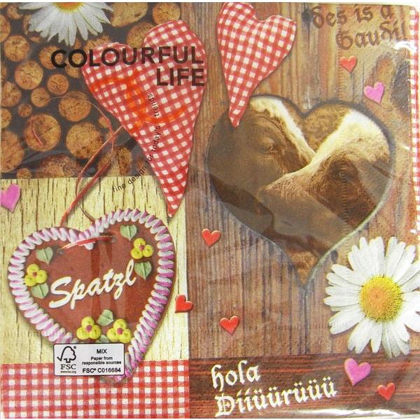 C-118@3y[p[ivL@ԔMKn[gJg[@WIESN GAUDI@`TCY[COLOURFUL LIFE]JtCtn[gAj}EEivLEf