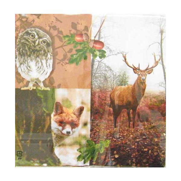 c-249@3y[p[ivL@X̓@ӂ낤EELcl@`TCY[COLOURFUL LIFE]JtCtEivLEfRp[W