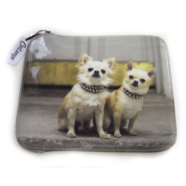 i Pad@^ubgP[X@ǂ`@[Catseye][ObY@G]EhbOECkE`