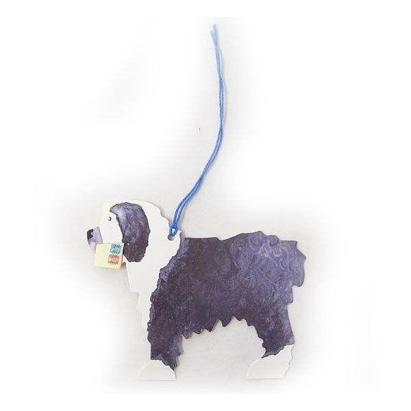 Mtg^O@I[hECObVEV[vhbO[Courtier]NeBGbZ[W^OEbsOޗNX}XRNV