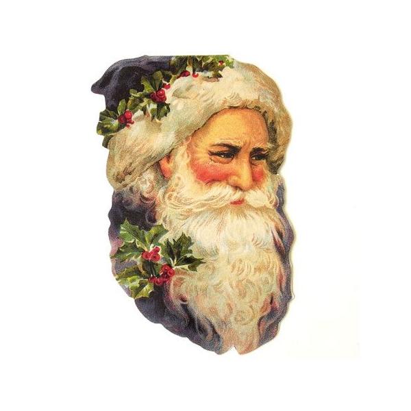 [Punch Studio]NX}X@X[J[h@u[T^p`X^WIbZ[WEMtgJ[h