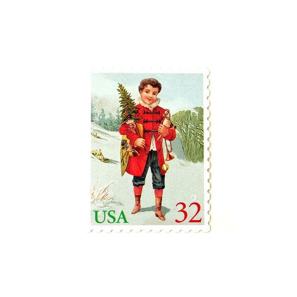 [Punch Studio]NX}X@X[J[h@c[N؎p`X^WIbZ[WEMtgJ[h