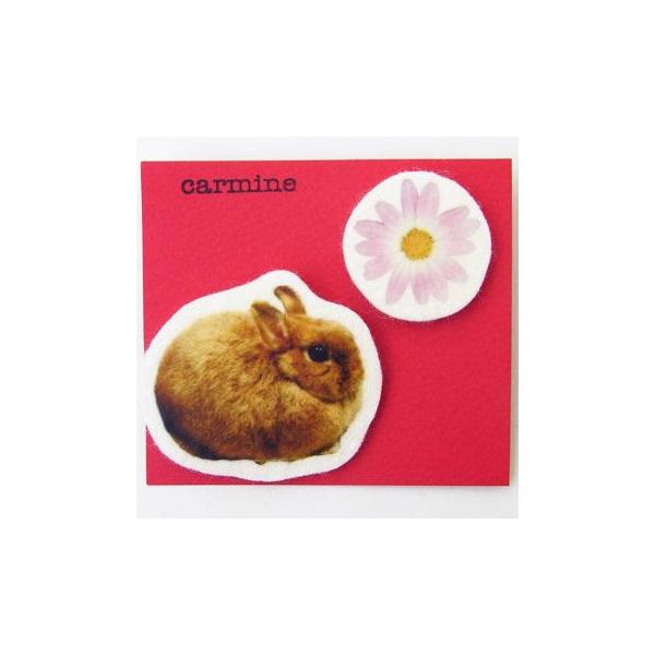 u[`Zbg@ۃETM[carmine]{rbgEoj[