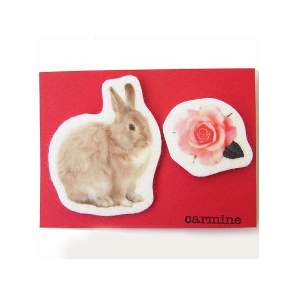 u[`Zbg@ETMуx[W[carmine]{rbgEoj[