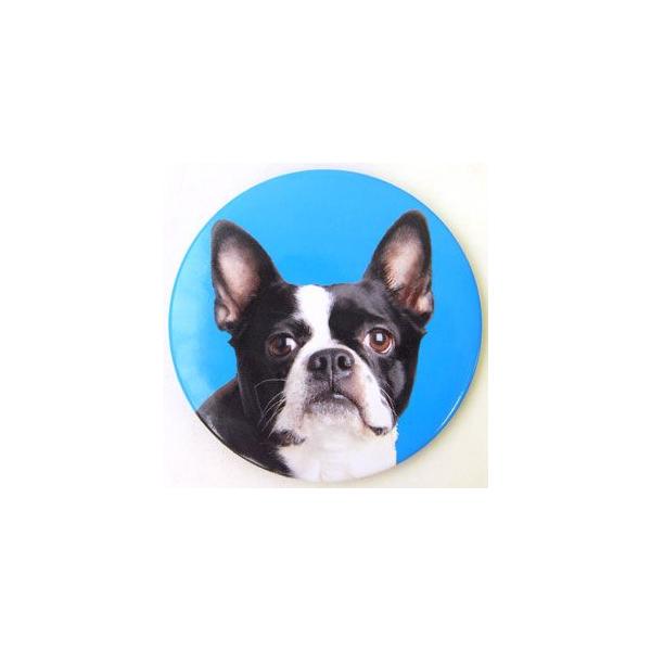 pԁ|Pbg~[@t`uhbO[Catseye][ObY@G]@ʁ@Ck@hbO@DOG