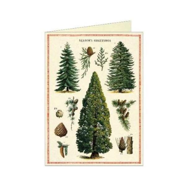 Cavallini@NX}XJ[h@NX}Xc[2@Cavallini&amp;Co@J@[j@Jo[j@n@uNJ[h@V[YJ[h