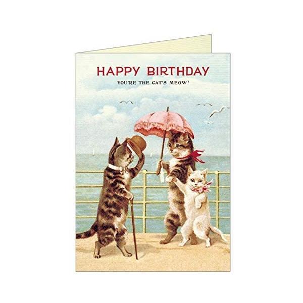 2361 Cavallini&amp;Co o[Xf[J[h g~ňALbg CAT5 J@[jR[lR aJ[h L qL Cat