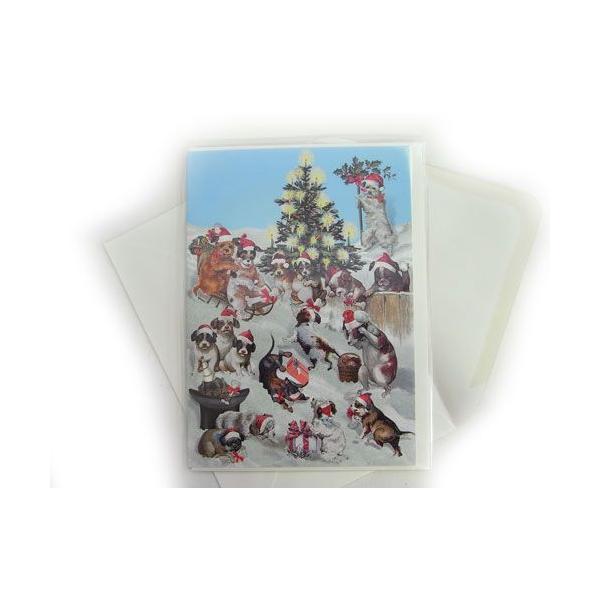 O[eBOJ[hL@hbO@vCO@XmE[Roger la BordenEhbOENX}XbZ[WEMtgJ[hE