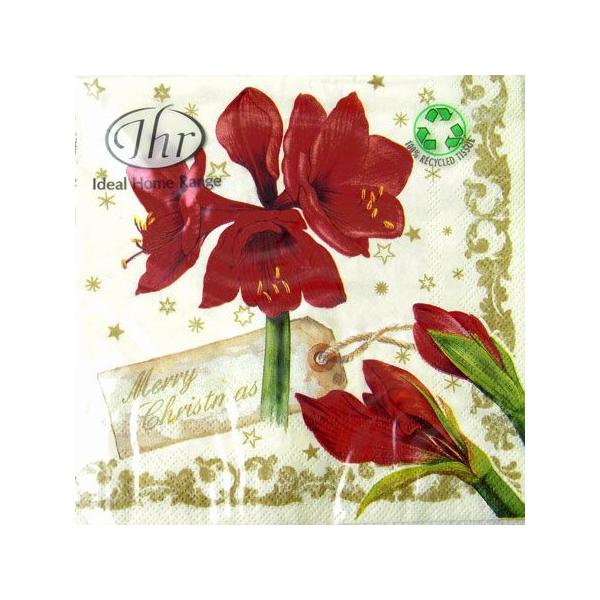 y[p[ivL[[OK]`TCY@A}XJbW@N[ Amaryllis Collage@CreamNX}X@10[hgq]hCc@ivLEy[p