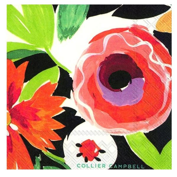 y[p[ivL@`TCY@10@[[OK]`TCY@OfBt[@bh@t[Ebh@[hgq]hCc@ivLEy[p[