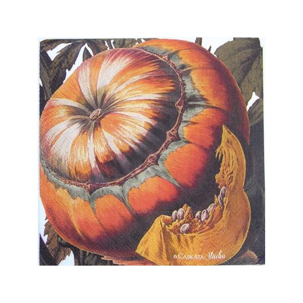 y[p[ivL@`TCY@5@[[OK]AUTUMN@SQUASH[CASKATA@Studio]hCc@ivLEy[p[ivLEfRp[WEH