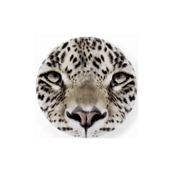 |Pbg~[@Ip[h[Catseye]@^EEqE