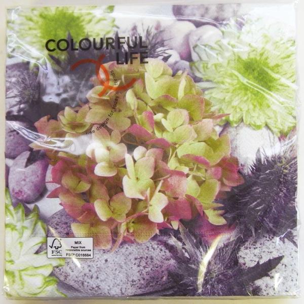 C-111@y[p[ivLflowered@zԁ@AWTC [COLOURFUL LIFE]JtCt/ԁXEʐ^EivLEfRp[W