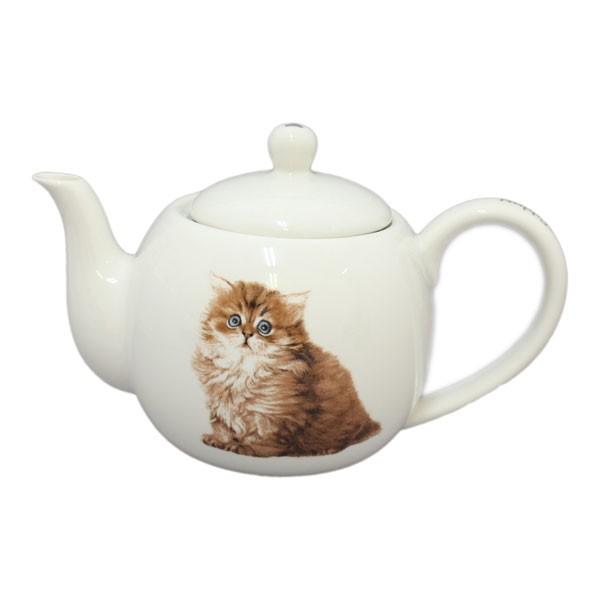 LHV[Y@CATeB[|bg@ۃ|bg@``ɂR@LElRE˂ECATELb`E}{EMtg