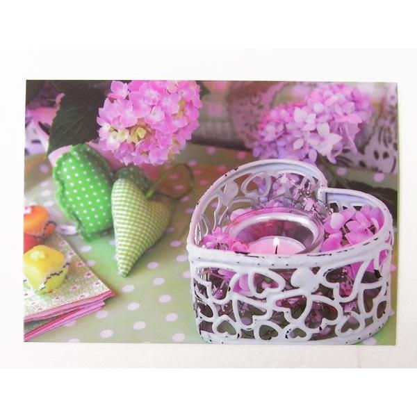 |XgJ[ht[Lh[Edition Gollong]bZ[WJ[hLE˂E