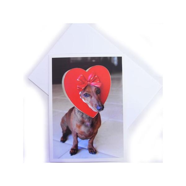 o^CJ[h@LfB{bNXEhbO@Ck[AVANTI]bZ[WEMtgJ[hEO[eBOEEn[g