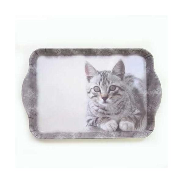 ~g[@XibNg[@CUDDLY CAT[IHR]LElRECATE˂