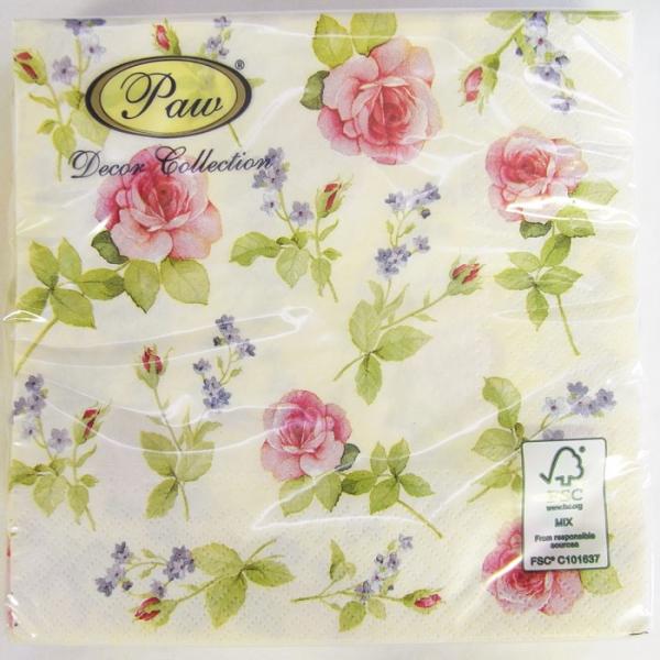 y[p[ivL[[OK]@o@ItzCg@Yꖼ@[Paw]2pE@`TCY