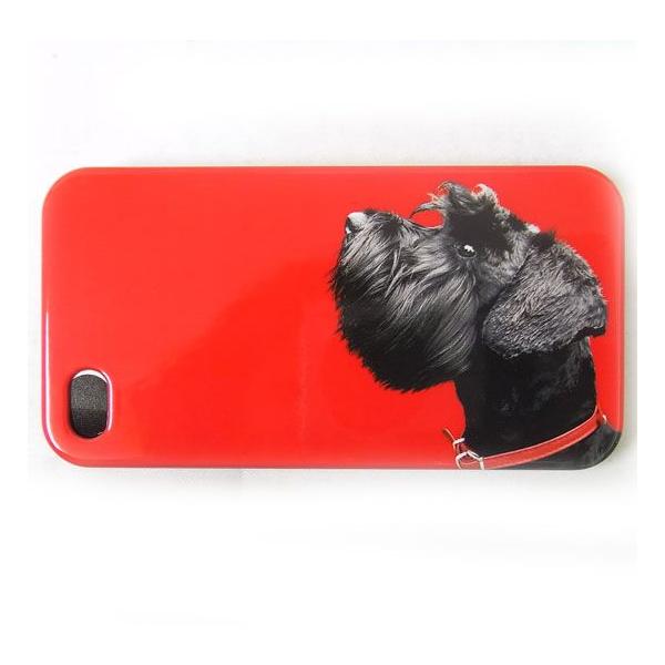 i PhoneJo[@eA@I@bh@44Sp[Catseye][ObY@G]EhbOE