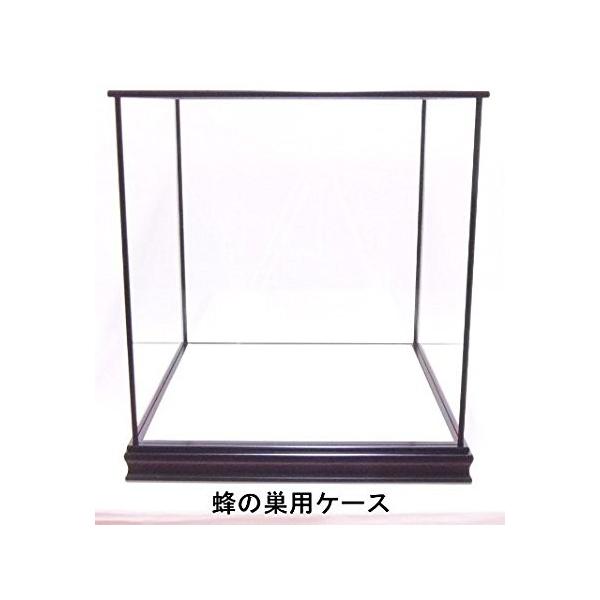 ガラスケース 収納ケース 五面 全面 ガラス カブセ式 五月人形 兜 鎧 内寸法 60 60 60 Buyee Servis Zakupok Tretim Licom Buyee Pokupajte Iz Yaponii