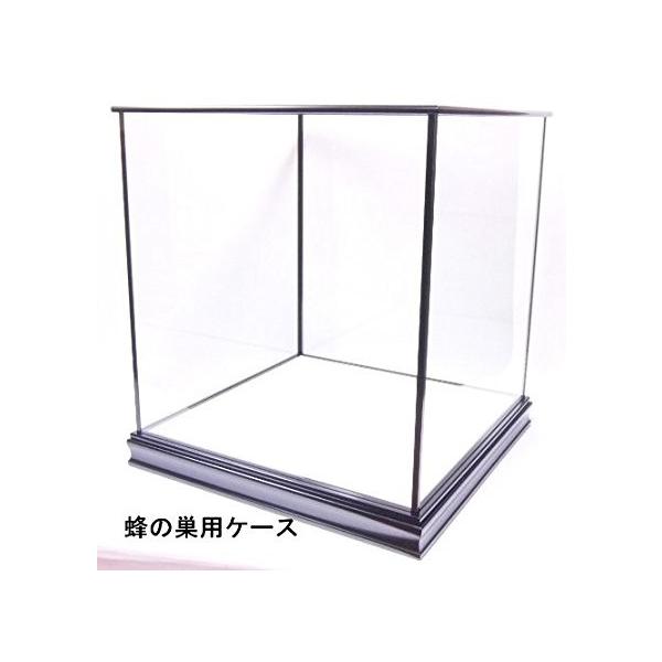 蜂の巣 カブセ式 内寸法 40 40 40 人形ケース ガラスケース 五面ガラス 展示ケース コレクションケース 五月人形 兜 鎧 Buyee Buyee 日本の通販商品 オークションの代理入札 代理購入
