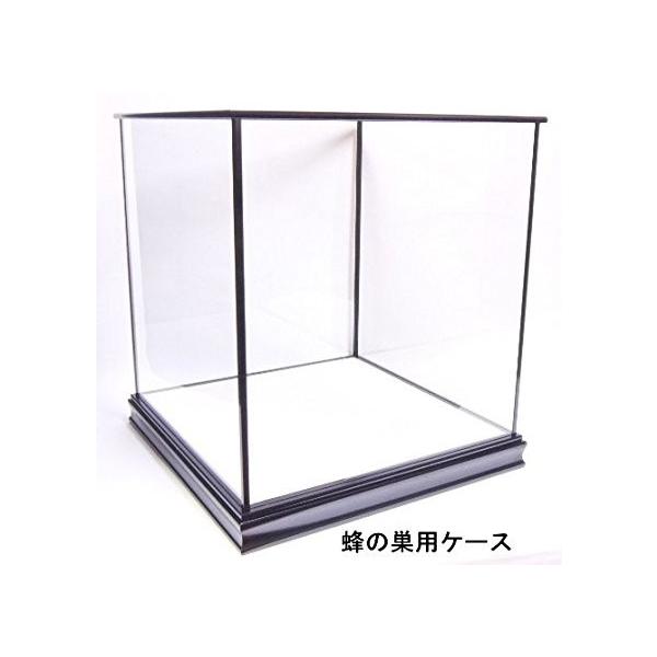 蜂の巣 カブセ式 内寸法 40 40 40 人形ケース ガラスケース 五面ガラス 展示ケース コレクションケース 五月人形 兜 鎧 Buyee Buyee 日本の通販商品 オークションの代理入札 代理購入