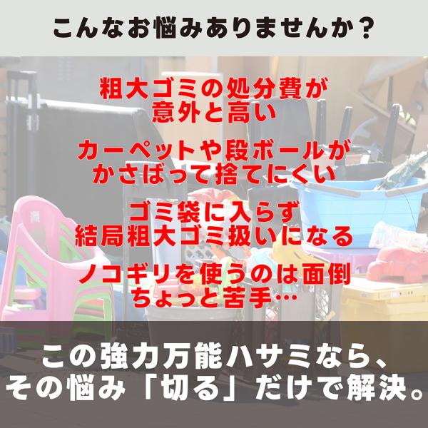 kadonodouguya_00086177_1_d_20260211134826