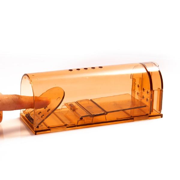 kadonodouguya_00089205_4_d_20221104171824