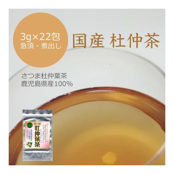 国産 無農薬 杜仲茶 3g 22包 メール便対応 鹿児島県産100 霧島 川辺 急須 煮出し用 妊婦さんも安心ノンカフェイン健康ダイエットティー Buyee Buyee Japanese Proxy Service Buy From Japan Bot Online