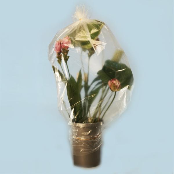 みずみずシートL 華道具 生け花用品