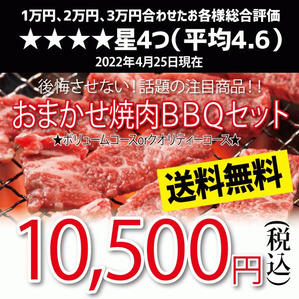 おまかせ焼肉バーベキューセット 円 q 国産素材 国産牛 食材 送料無料 Omakase かどやファーム 通販 Yahoo ショッピング