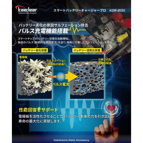 kaedear_kdr-b12s_3_d_20260310195319